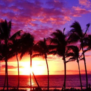 Meet your Posher, Glorivee